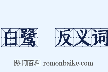 白鹭纕反义词是什么意思的图片